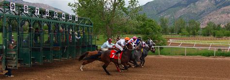 weber downs horse racing.